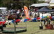 Carcoar Show - thumb 0