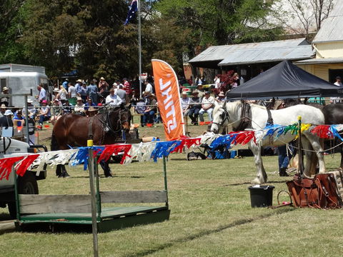 Carcoar Show - Northern Rivers Accommodation 0