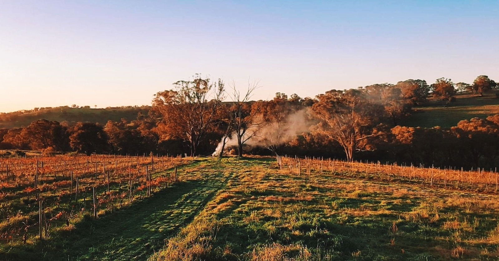 Lidster NSW Northern Rivers Accommodation