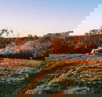 Cargo Road Wines Grande Fiamma - Northern Rivers Accommodation