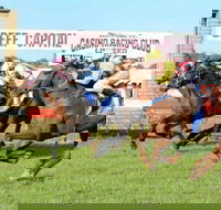 Casino Cup - Northern Rivers Accommodation