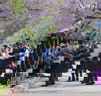 Celtic Festival of Queensland - Northern Rivers Accommodation