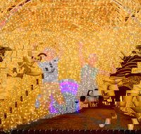 Christmas Lights Spectacular New Year's Eve at Hunter Valley Gardens