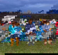 Cinema Under The Stars