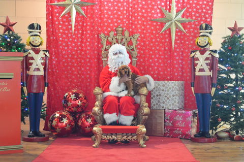 Community Christmas Party And Carols By Candlelight - Northern Rivers Accommodation 2