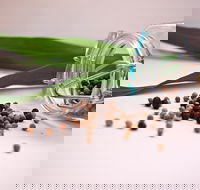 Cooking with Australian Indigenous Spices cooking class - Northern Rivers Accommodation