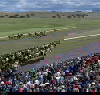 Cooma Sundowners Cup - Northern Rivers Accommodation