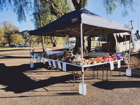 Cootamundra Girl Guides Markets - Northern Rivers Accommodation 0