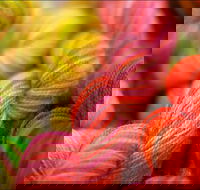 Creative Fibre - Northern Rivers Accommodation