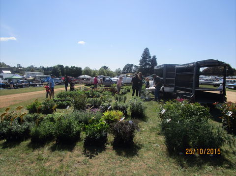 Crookwell Rotary Swap Meet And Market Day - Northern Rivers Accommodation 1