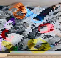 Cuttle-Rock Challenge - CUTTLEFEST 2020 - Whyalla - Northern Rivers Accommodation