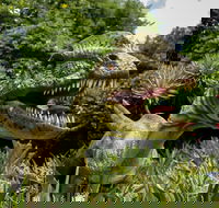 Dino Lab at Melbourne Zoo - Northern Rivers Accommodation