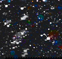 Eclectic by Murray Conservatorium - Northern Rivers Accommodation