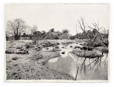 EXHIBITION: LILY MAE MARTIN: OVERBURDEN - Northern Rivers Accommodation 3
