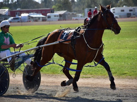 Forbes Show - Northern Rivers Accommodation 0
