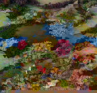 Glenrock Gardens Open Garden - Northern Rivers Accommodation