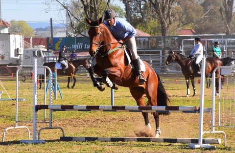 Glen Innes Pastoral And Agricultural Show - Northern Rivers Accommodation 0