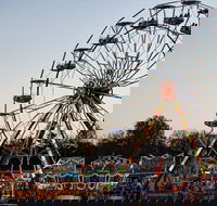Grafton Show