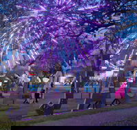 Grafton Jacaranda Festival