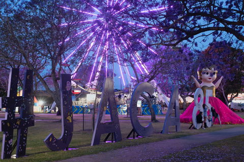 Grafton Jacaranda Festival - Northern Rivers Accommodation 0