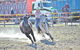 Gresford  Campdraft And Rodeo - thumb 0