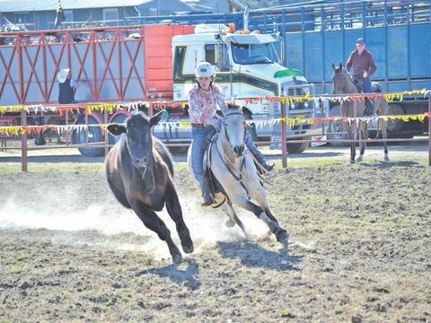Gresford  Campdraft And Rodeo - Northern Rivers Accommodation 0