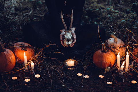 Hallows' Eve - Northern Rivers Accommodation 5