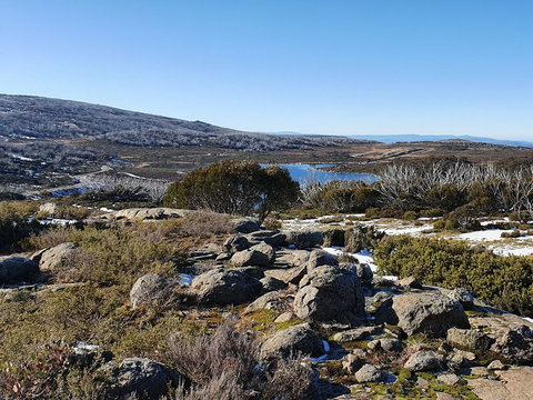 Hedonistic Hiking's Razorback To Harrietville - Northern Rivers Accommodation 1