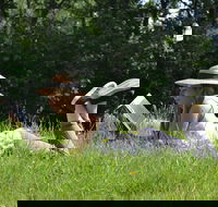 High Country Writers Festival - Northern Rivers Accommodation