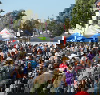 Hunter Valley Caravan Camping 4WD Fish and Boat Show