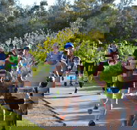 Husky Half Running Festival - Northern Rivers Accommodation