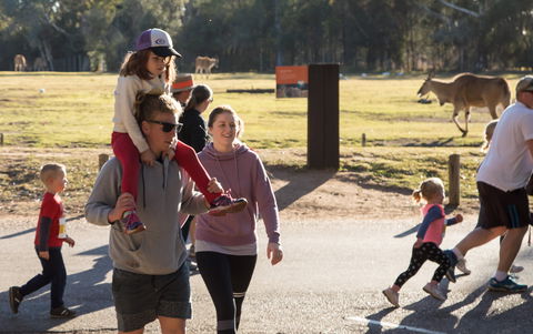 MAAS Group Dubbo Stampede Running Festival - Northern Rivers Accommodation 1