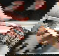 Meat BBQ Cooking Class - Northern Rivers Accommodation