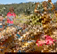 Mini Muddies Obstacle Challenge at Bunnamagoo Estate - Northern Rivers Accommodation