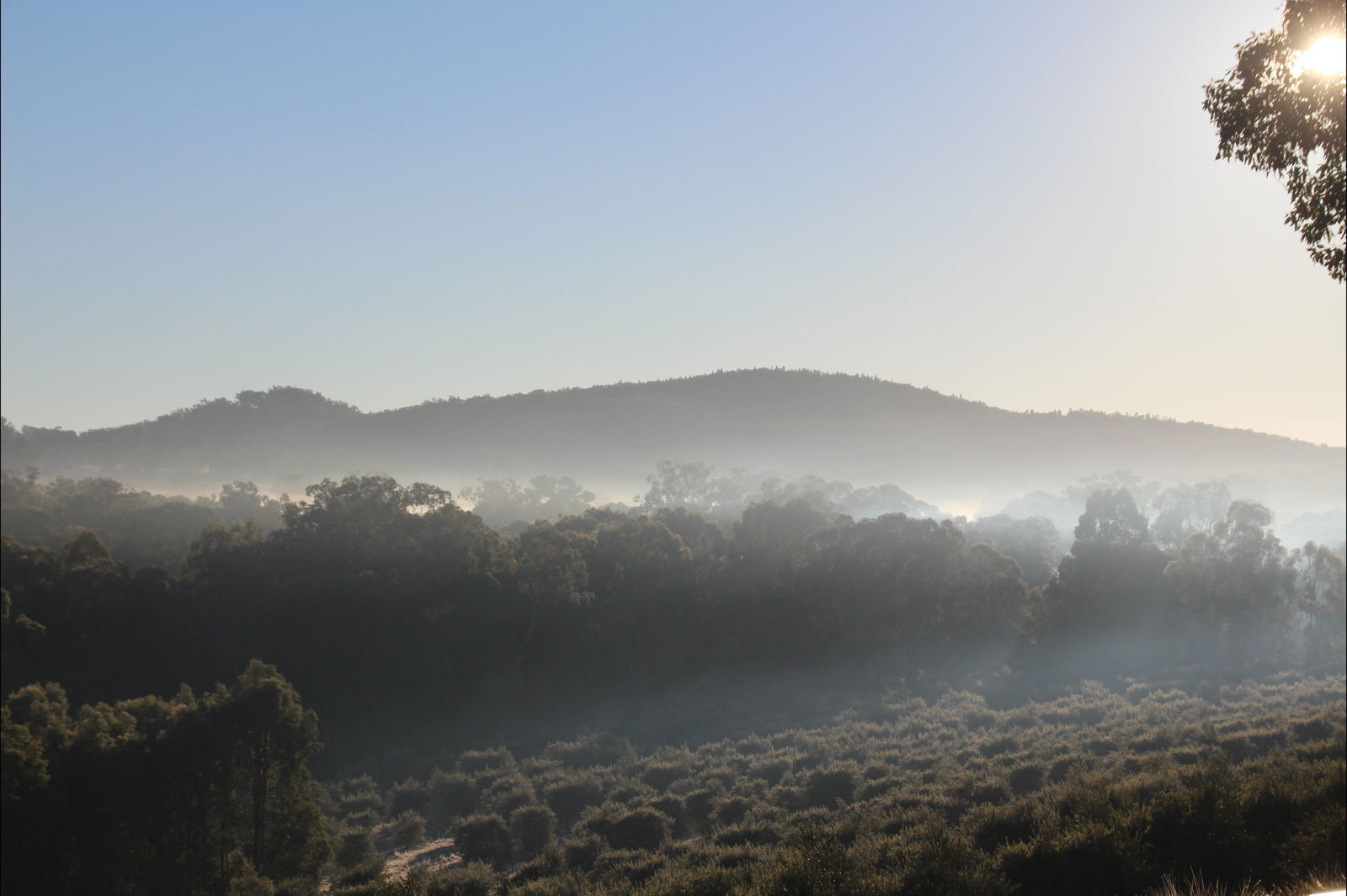 Mount Knowles NSW Northern Rivers Accommodation