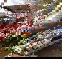 Murphys Creek Markets - Northern Rivers Accommodation
