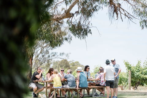 Music On The Murray - Northern Rivers Accommodation 0