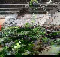 Newcastle - Huge Indoor Plant Warehouse Sale - Christmas Bonanza - Northern Rivers Accommodation