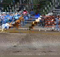 North Queensland Elite Rodeo - Northern Rivers Accommodation