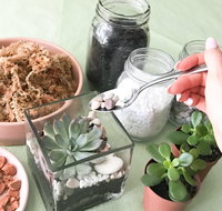 Online live streaming class Make Your Own Terrarium