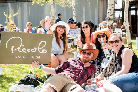 Owen Toyota Murrumbidgee Music Festival - Northern Rivers Accommodation 1