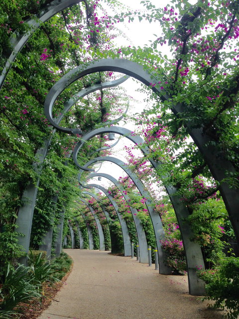 Photography Class / Tour Of Brisbane - Northern Rivers Accommodation 0