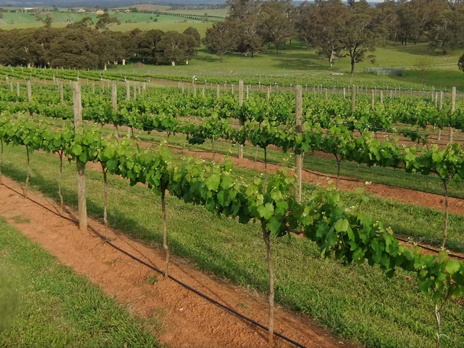 Menangle NSW Northern Rivers Accommodation