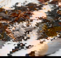 Red Hot Chilli Pepper Spice Blending Class - Northern Rivers Accommodation