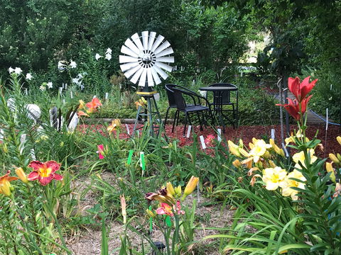 Riverina Iris Farm Open Garden And Iris Display - Northern Rivers Accommodation 2