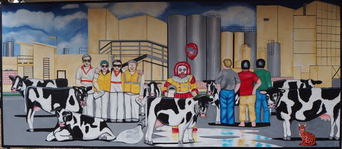 Rochester Mural Festival - Northern Rivers Accommodation 1