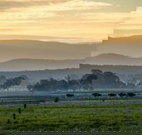 Rotary Club of Maffra Community Market - Northern Rivers Accommodation