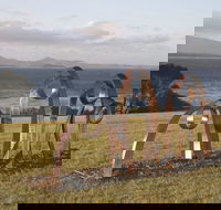Sculpture Bermagui - Northern Rivers Accommodation