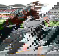 Stadium Stomp Adelaide Oval - Postponed - Northern Rivers Accommodation