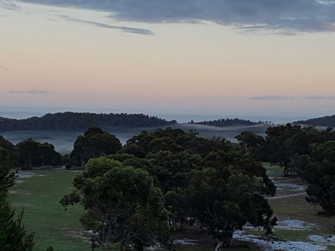 Straddie Festival Of Golf - Northern Rivers Accommodation 1
